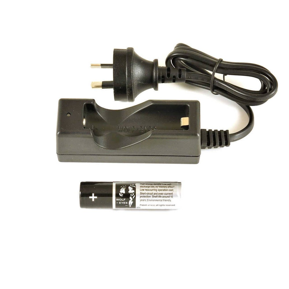 Black battery charger with plug and battery on a white background