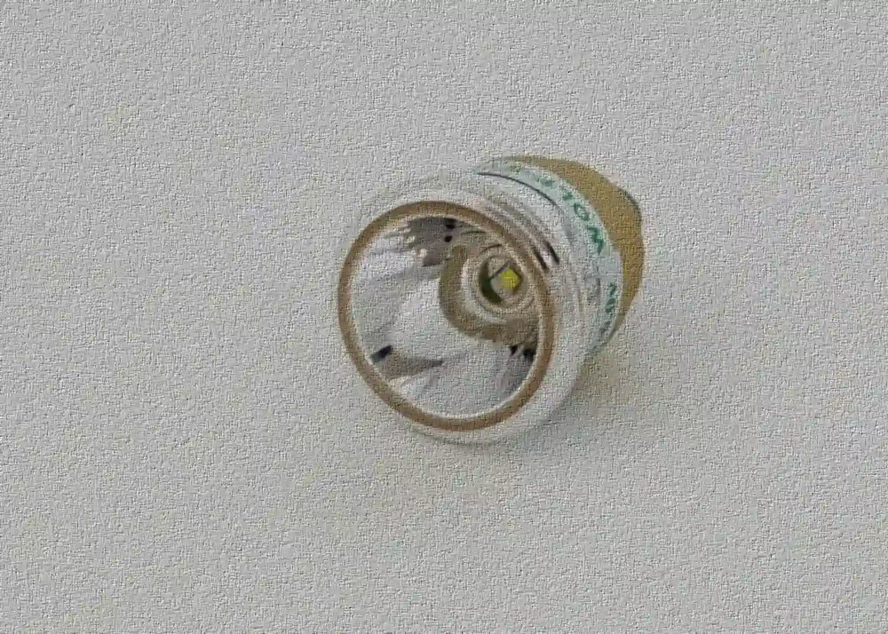 LEDs for your Wolf Eyes Flashlight Torch