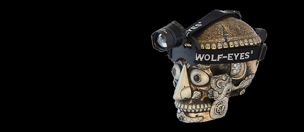 Wolf Eyes Digo rechargeable headlamp on a human skull