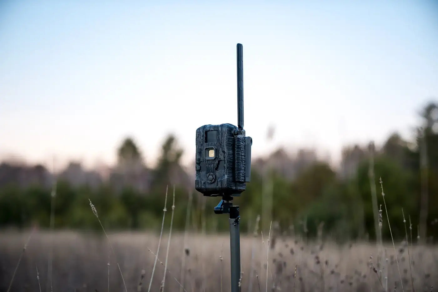 Stealthcam Trail Camera on a post against a bushland setting