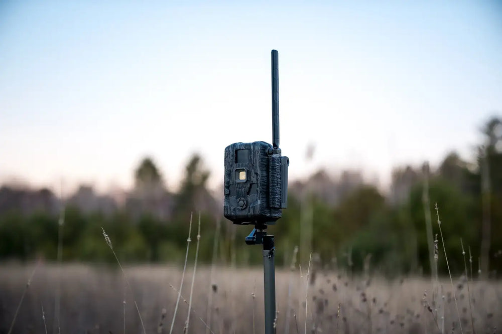 Trail Cameras