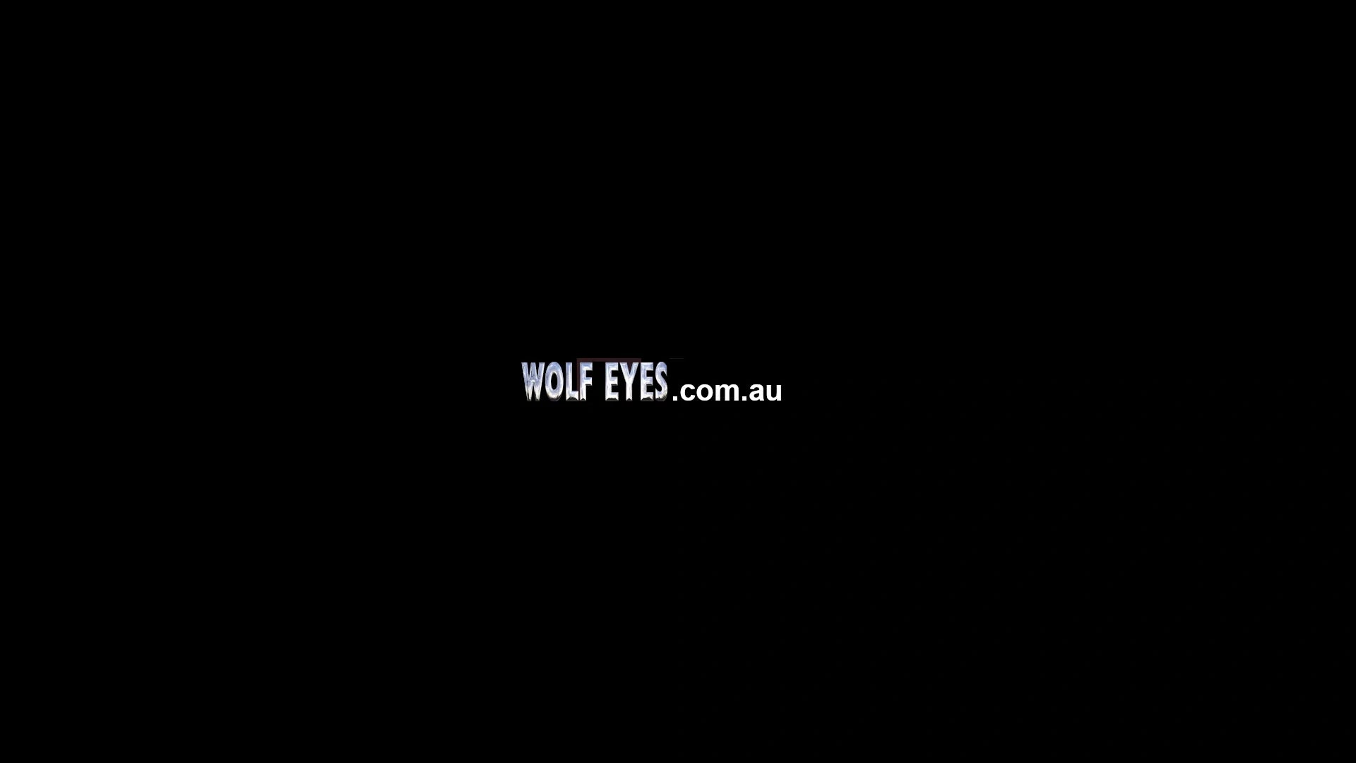 Wolf Eyes Home Page Logo