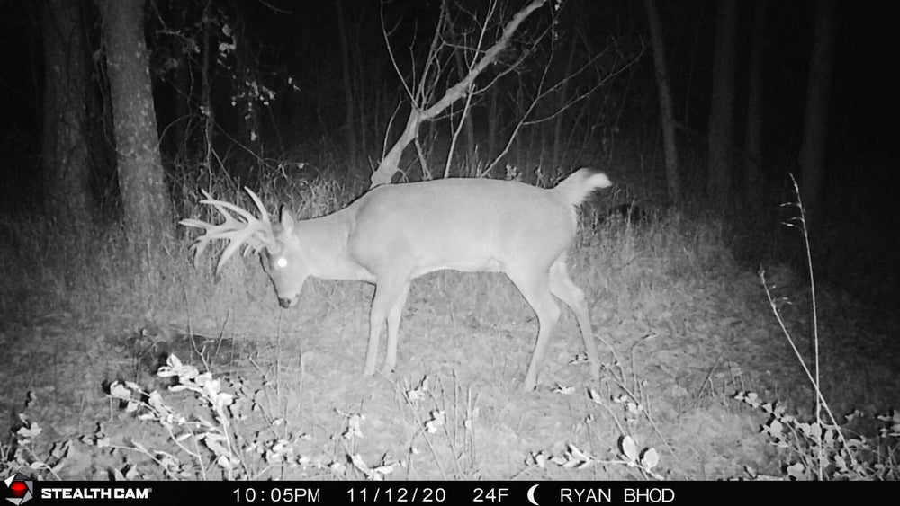 Night vision image of a buck captured by Stealthcam Fusion Trail Camera, highlighting infrared capabilities and 24F low-temperature operation.