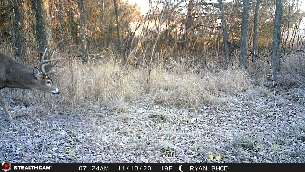 Stealthcam Fusion Trail Camera captures a buck in frosty terrain, showcasing reliable performance and image clarity in winter settings.