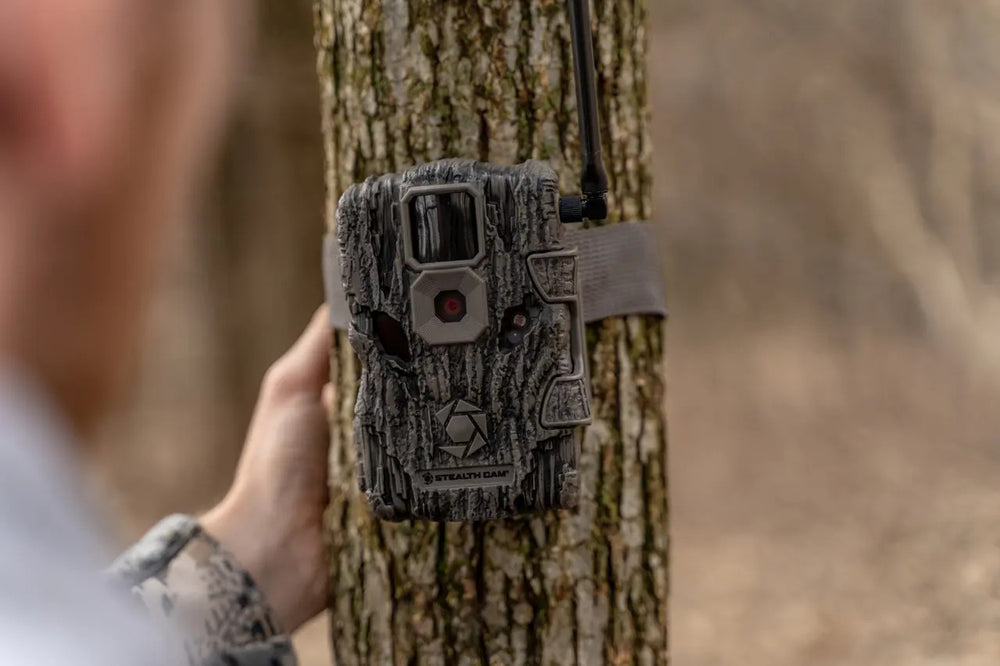 Stealthcam Fusion Cellular Trail Camera mounted on a tree, ideal for discreet wildlife surveillance with phone connectivity and IR night vision.