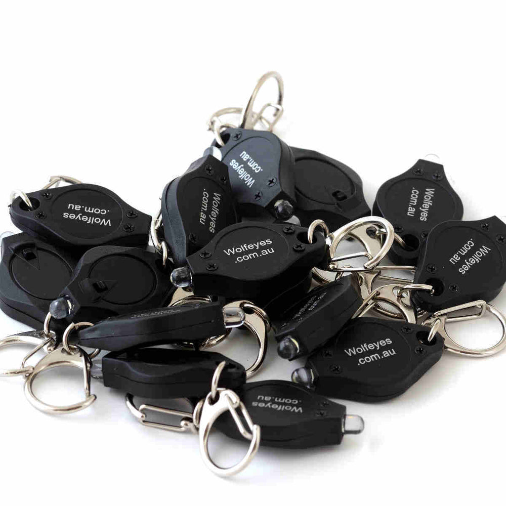 Keylights Ten Pack - LED Keyring Flashlight with black casing and metal keychain clips. Compact portable lighting ideal for keychains or emergencies.