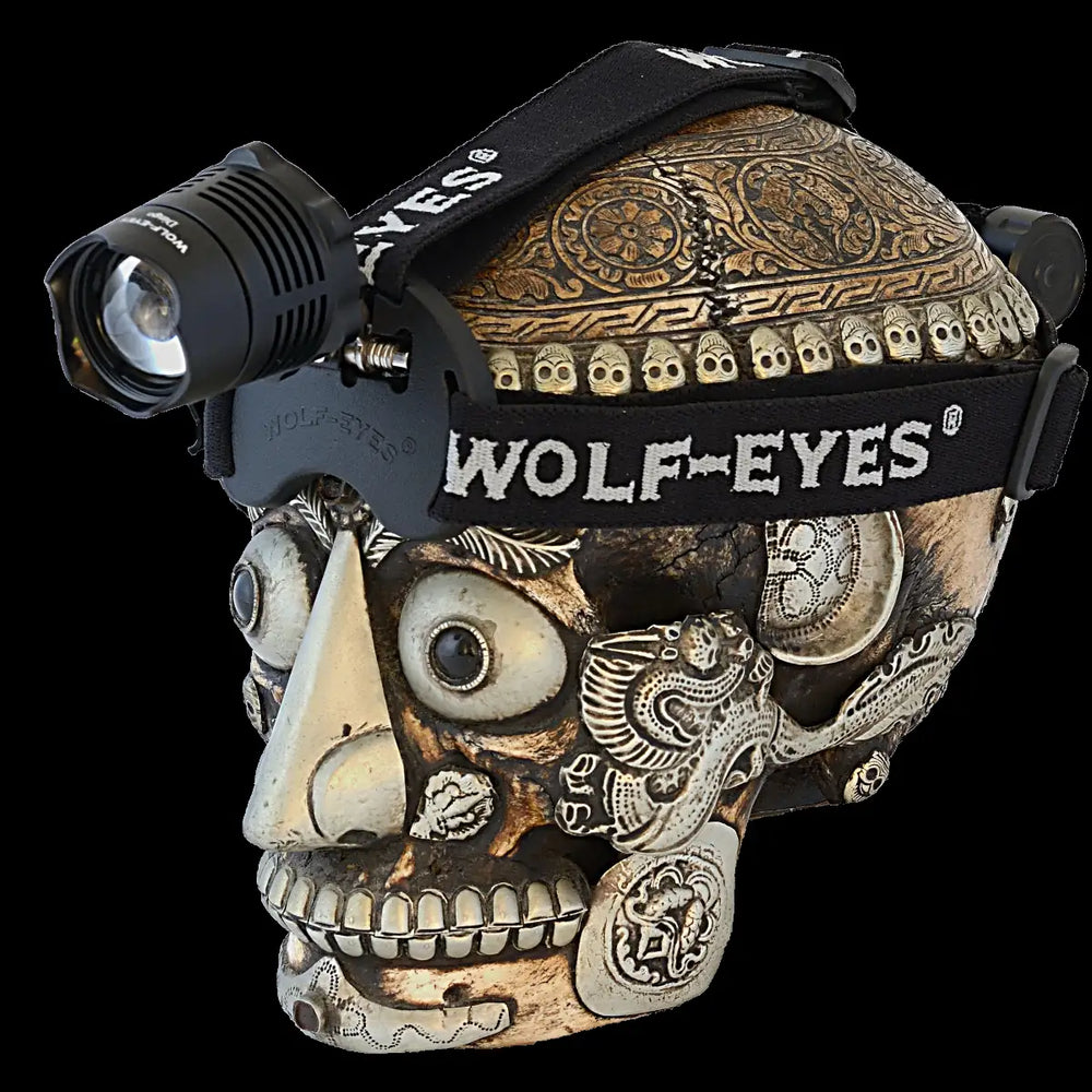 Rechargeable headlamp Wolf Eyes Dingo21 showing battery pack on back for balance and controls on front