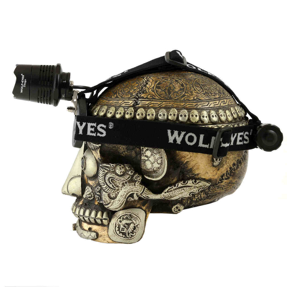 Side view of Dingo LED Headlamp on skull model, highlighting adjustable head strap and front-mounted LED light for outdoor tool use.