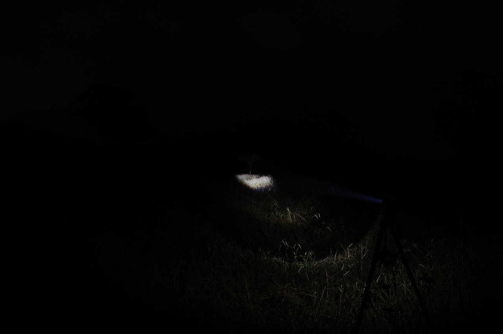 beam picture of wolf eyes defender