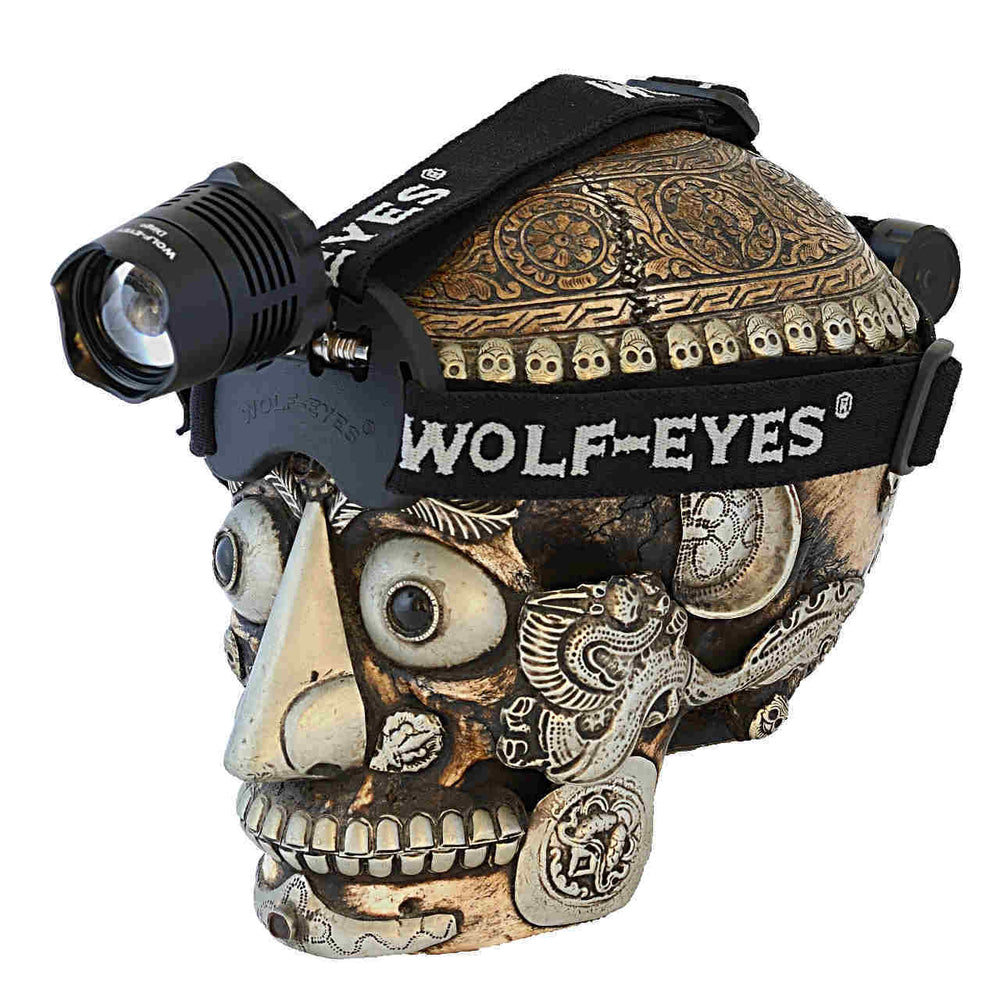 Dingo LED Headlamp by Wolf Eyes mounted on a decorative skull, showcasing adjustable front beam and head strap for hands-free lighting.