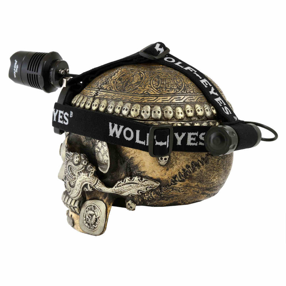 Opposite side view of Dingo LED Headlamp on skull display, showing rear battery pack and ergonomic strap design for secure fit.