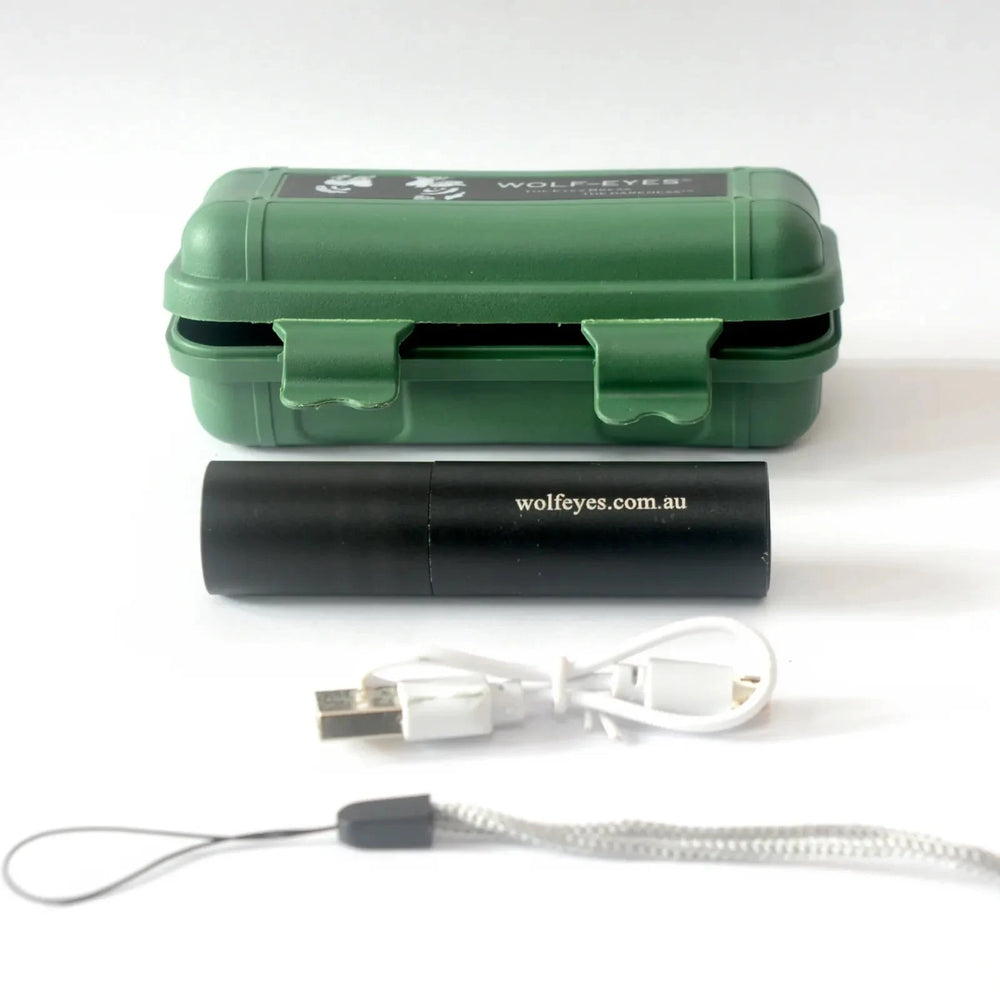 USB Keylight - Portable USB Light with USB cable, lanyard, and green storage case, showcasing full rechargeable flashlight kit.